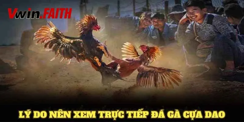 Ưu điểm khi theo dõi đá gà cựa dao trực tuyến