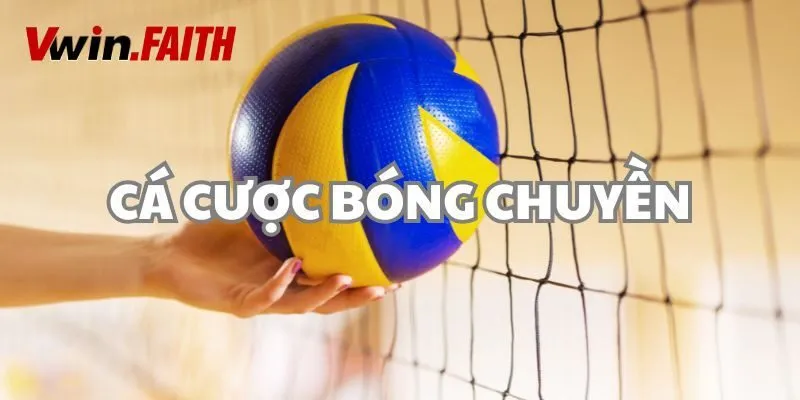 Cá Cược Bóng Chuyền - Hướng Dẫn, Bật Mí Mẹo Thắng Lớn