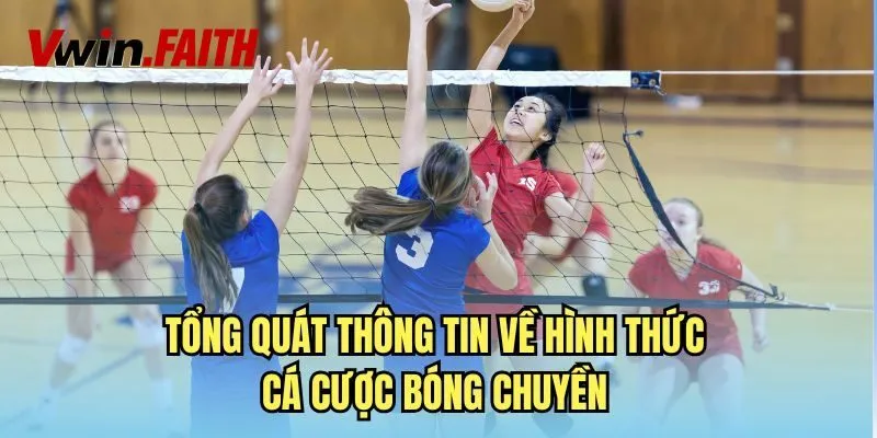 Thế nào là cá cược bóng chuyền, những điều tân binh cần biết